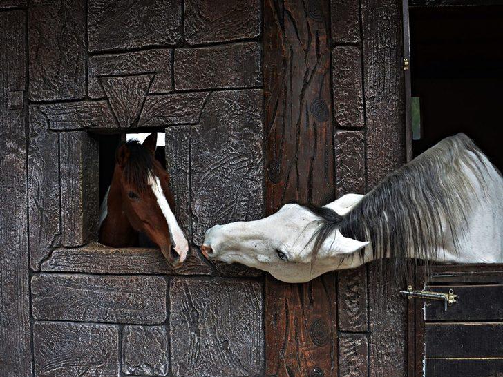 'Kadın Gözüyle Hayattan Kareler' fotoğraf yarışması sonuçlandı G2