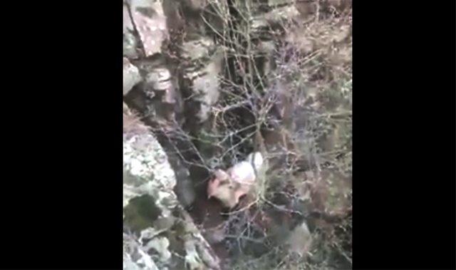 Kayalıklarda mahsur kalan keçiler kurtarılmayı bekliyor