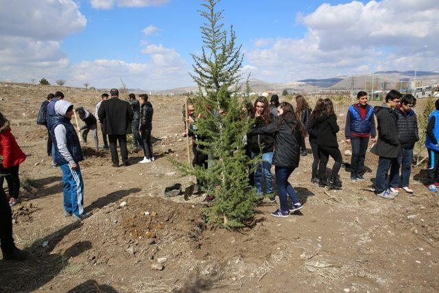 Melikgazi Belediyesinde İlk Etapta 10.000 çam fidanı toprakla buluşacak