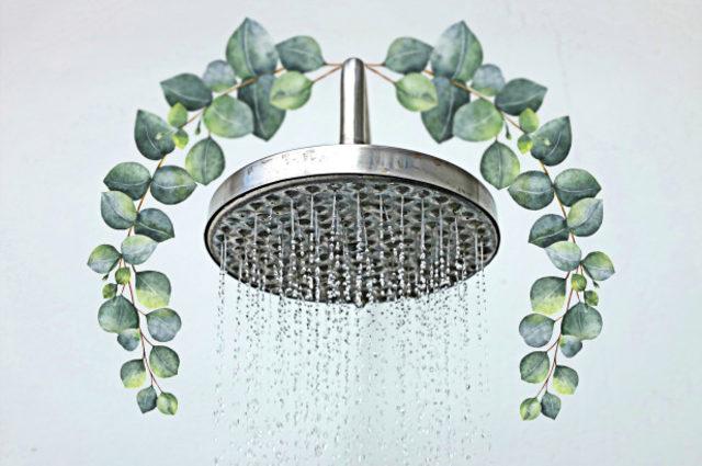 180521-hanging-eucalyptus-shower-feature