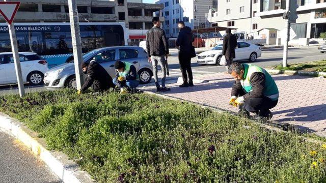 Adıyaman’da yeşil alanlara özel bakım