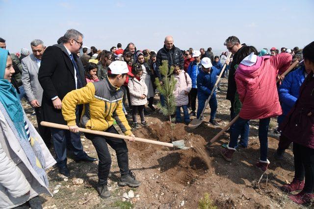 Çocuk evleri ve yurtlarda kalan çocukların katılımı ile fidan dikildi