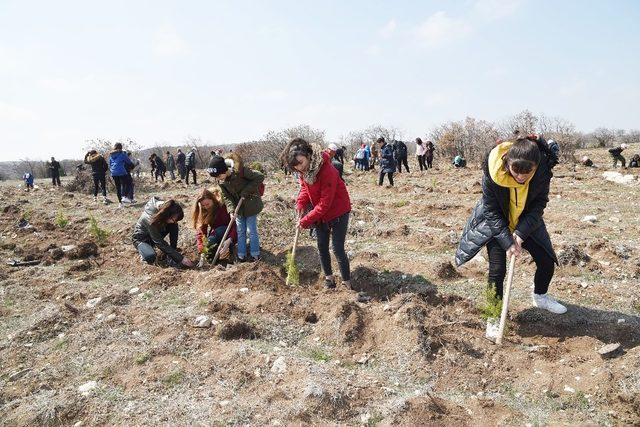 Çocuk evleri ve yurtlarda kalan çocukların katılımı ile fidan dikildi