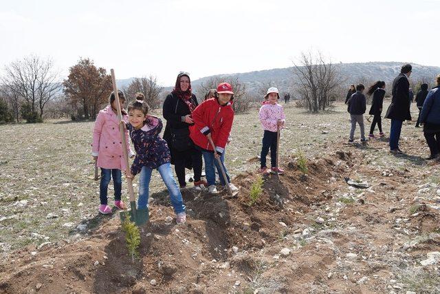 Çocuk evleri ve yurtlarda kalan çocukların katılımı ile fidan dikildi