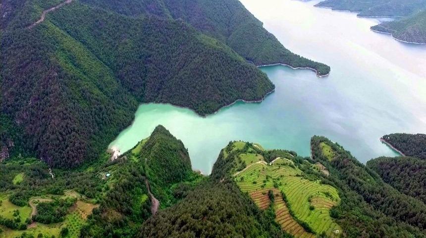 Samsun’da 3,5 milyondan fazla fidan üretilecek