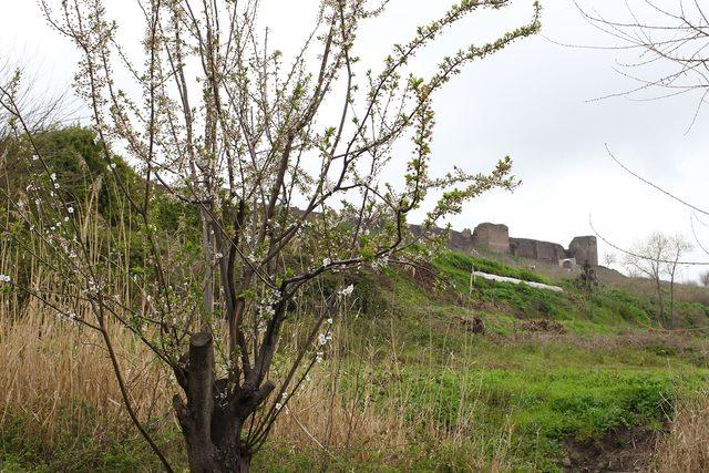 Hevsel Bahçeleri'ne bahar geldi