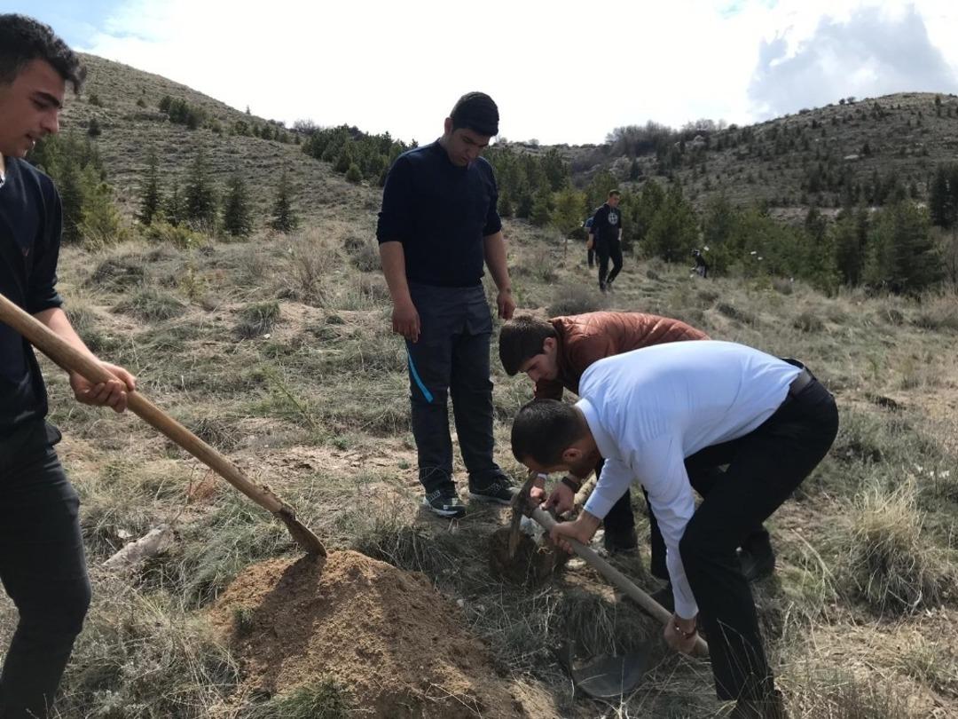 Ülkü Ocakları’dan bin fidan