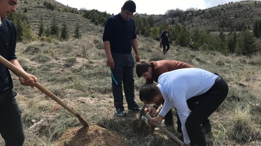 Ülkü Ocakları’dan bin fidan