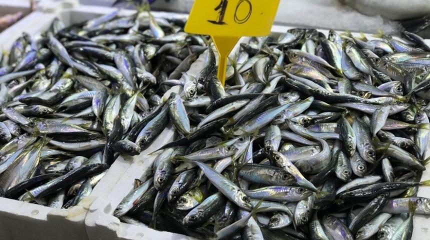 Sezonun son istavritleri tezgahlarda