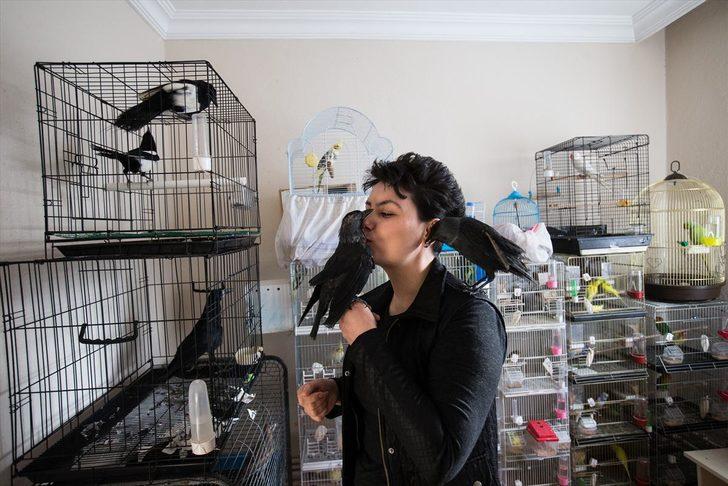 100 yaralı ve hasta hayvana evinde bakıyor G4