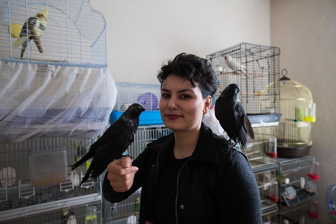 100 yaralı ve hasta hayvana evinde bakıyor