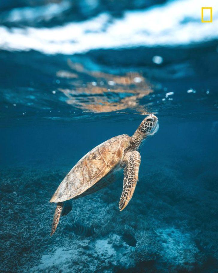 National Geographic en iyi seyahat temalı fotoğraf yarışmasından kareler G3