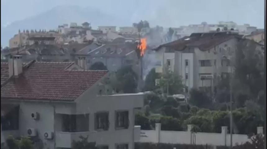 Yıldırım d&uuml;şen ağa&ccedil; saniyeler i&ccedil;inde alev topuna d&ouml;nd&uuml;