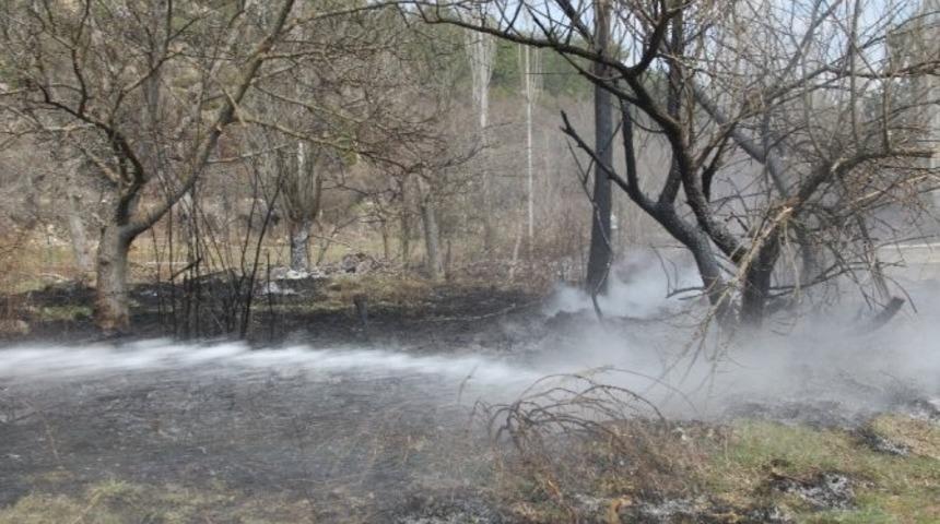 Tarla temizliğinde ateş yakmak orman yangınlarına neden oluyor