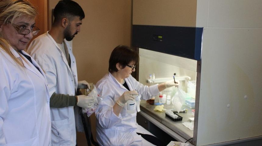 TİKA&rsquo;dan G&uuml;rcistan&rsquo;da sağlık personeline eğitim