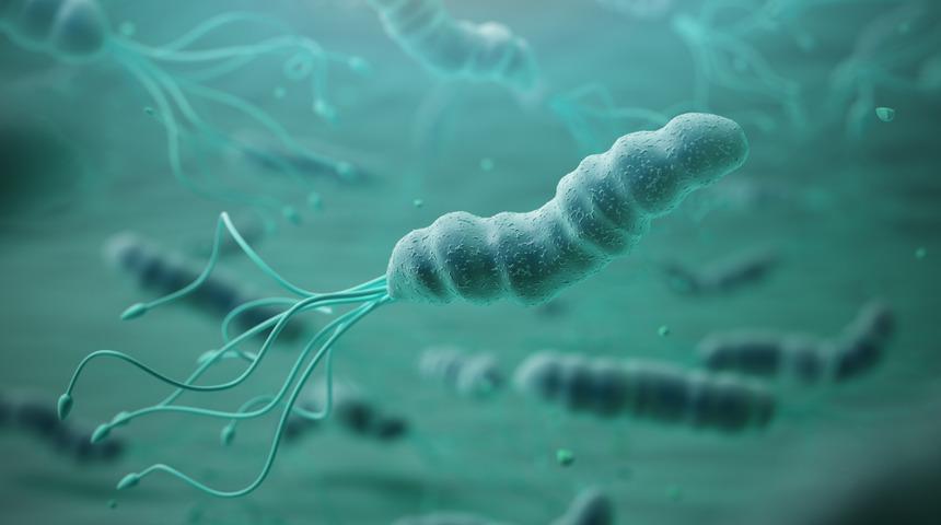 Mide kanseri nedir? Mide kanseri belirtileri nasıl olur, tedavisi nasıl yapılır?