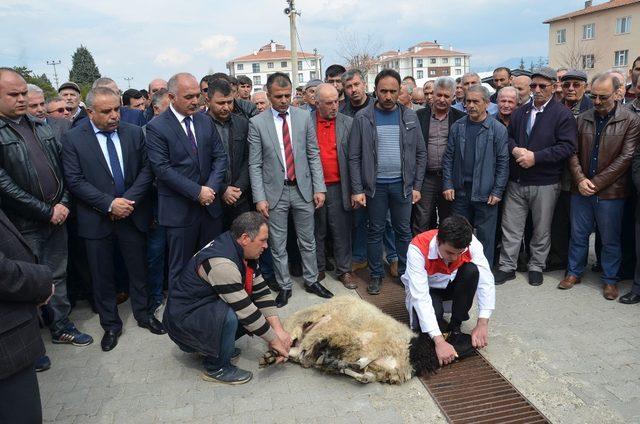 Dodurga Belediye Başkanı Aydın mazbatasını aldı