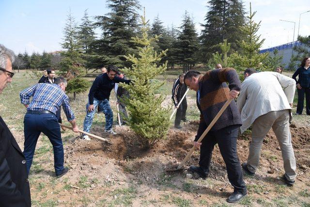 Sağlık Merkezi bahçesine 205 fidan dikildi