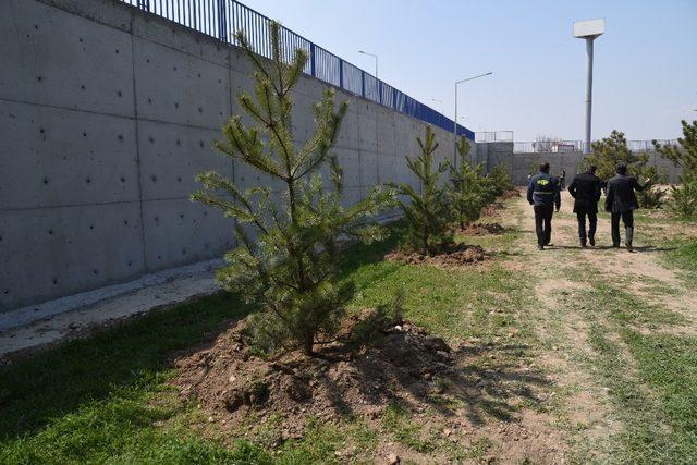 Sağlık Merkezi bahçesine 205 fidan dikildi