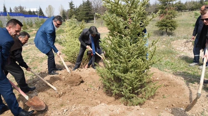 Sağlık Merkezi bah&ccedil;esine 205 fidan dikildi