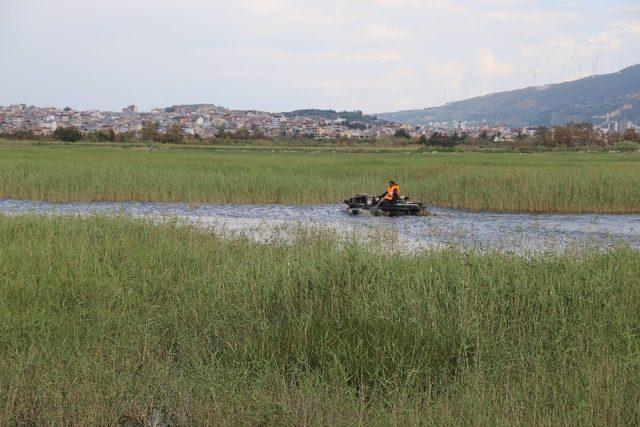 Hatay’da haşerelere karşı ilaçlama yapılıyor