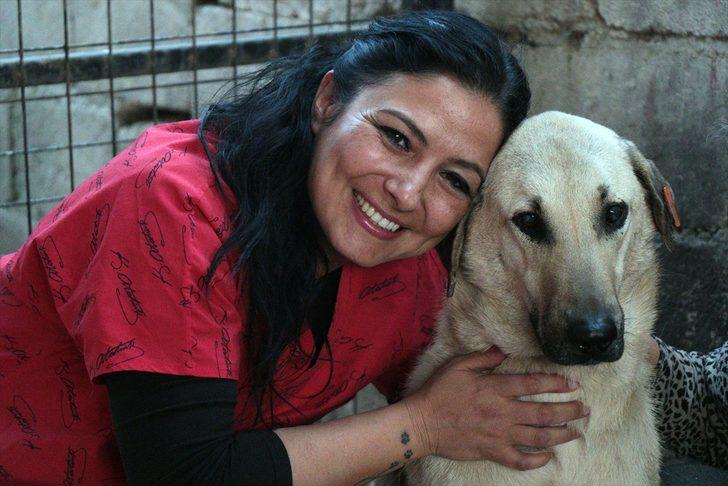  Bu halde bulunmuştu! Hayvanseverlerin şefkati Kuyu'yu hayata döndürdü G3