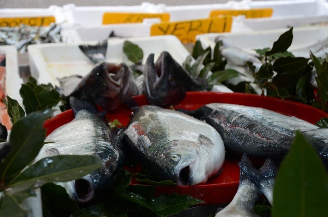 Balık avında son 10 g&uuml;n