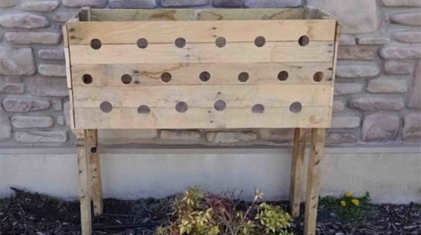 Bunun ne işe yaradığına inanamayacaksınız! 19 delik açtı sonra...