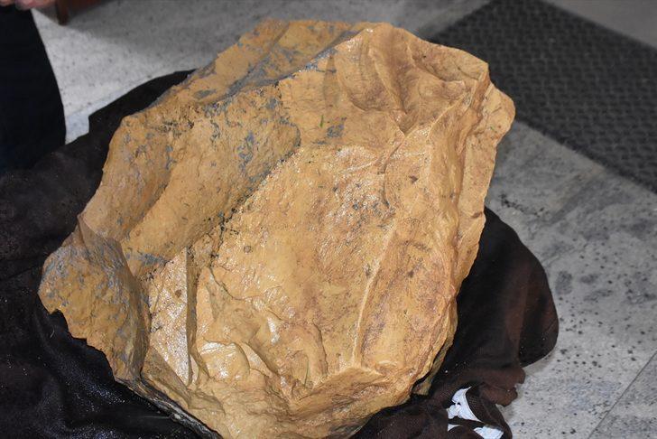 Salyangoz sanılan fosilin 200 milyon yıllık Ammonit olduğu anlaşıldı G3