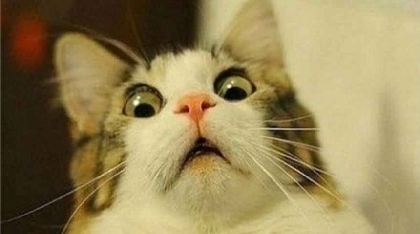 Bu İlgin&ccedil; Bilgilerden Ka&ccedil;ını Biliyorsunuz?