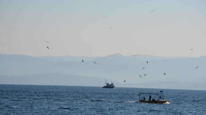 Balık&ccedil;ı teknelerinin davetsiz misafiri martılar