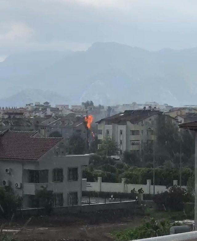 Marmaris'ta ağaca düşen yıldırım korkuttu