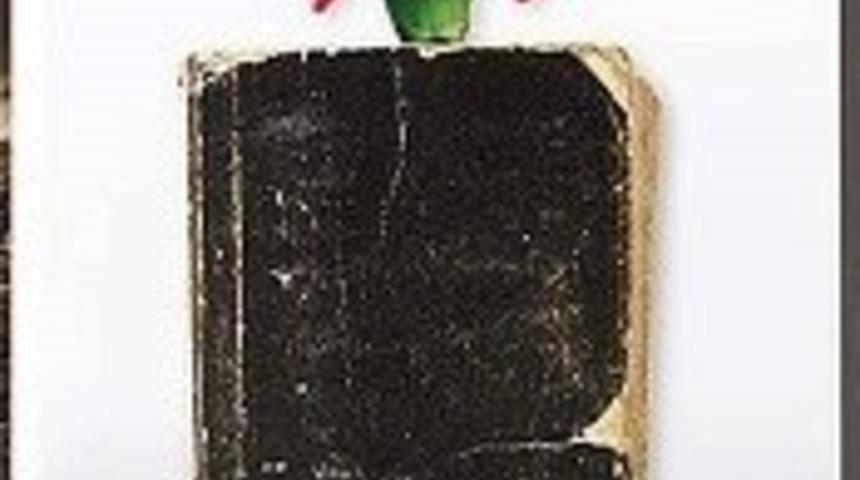 Cevat Turan’dan yeni bir roman: ‘Bir Eylül Yarası’