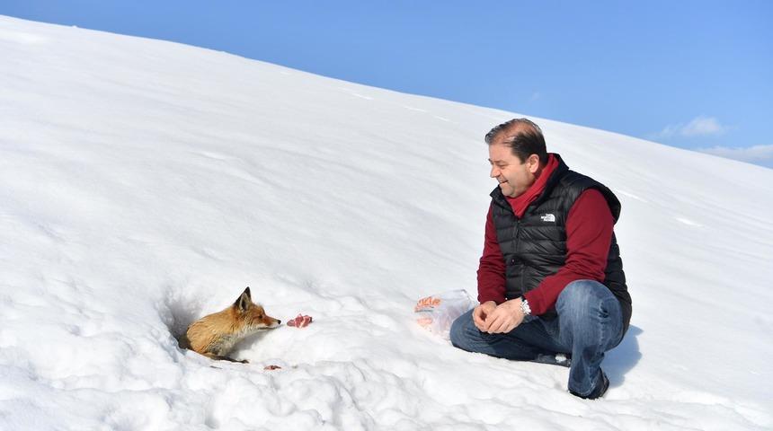 Belediye başkanı ve tilkinin dostluğu!