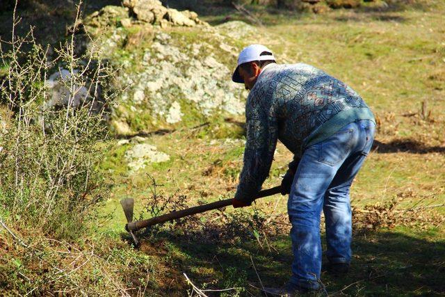 Aydın’da çapa yevmiyesi 150 liraya yükseldi