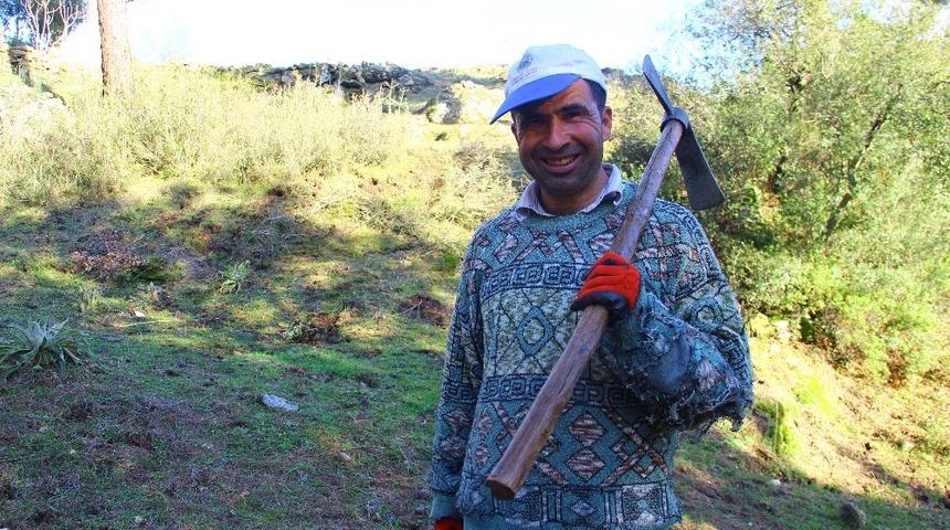 Aydın’da çapa yevmiyesi 150 liraya yükseldi