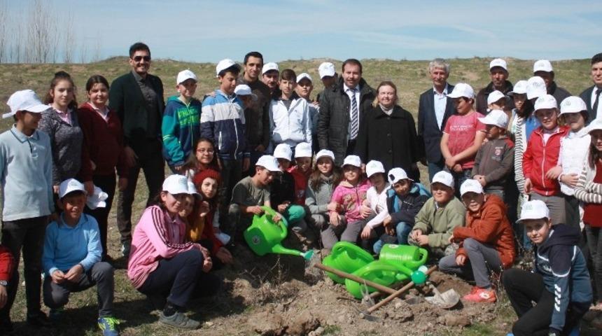 Alpu il&ccedil;esinde mera ıslah &ccedil;alışmalarına başlandı