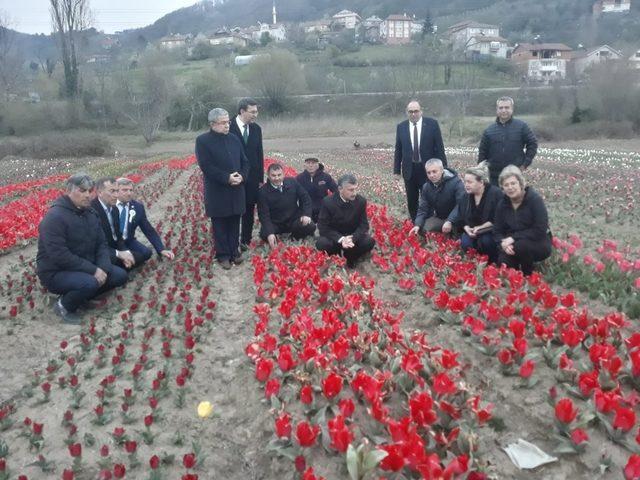 Vali Bektaş, Çaycuma’da tarım ve hayvancılık tesislerini inceledi