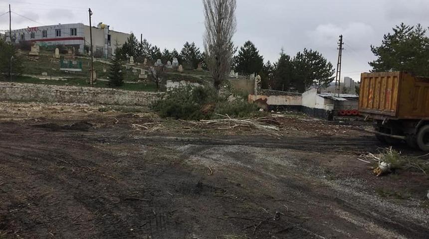 50 yıllık ağa&ccedil;ların kesilmesi tepki &ccedil;ekti