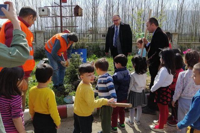 G&ouml;lyaka&rsquo;da &ouml;ğrenciler fidanları toprakla buluşturdu 1