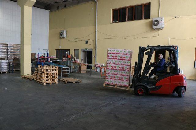 (Özel) Kadın forklift operatörü erkeklere taş çıkarıyor