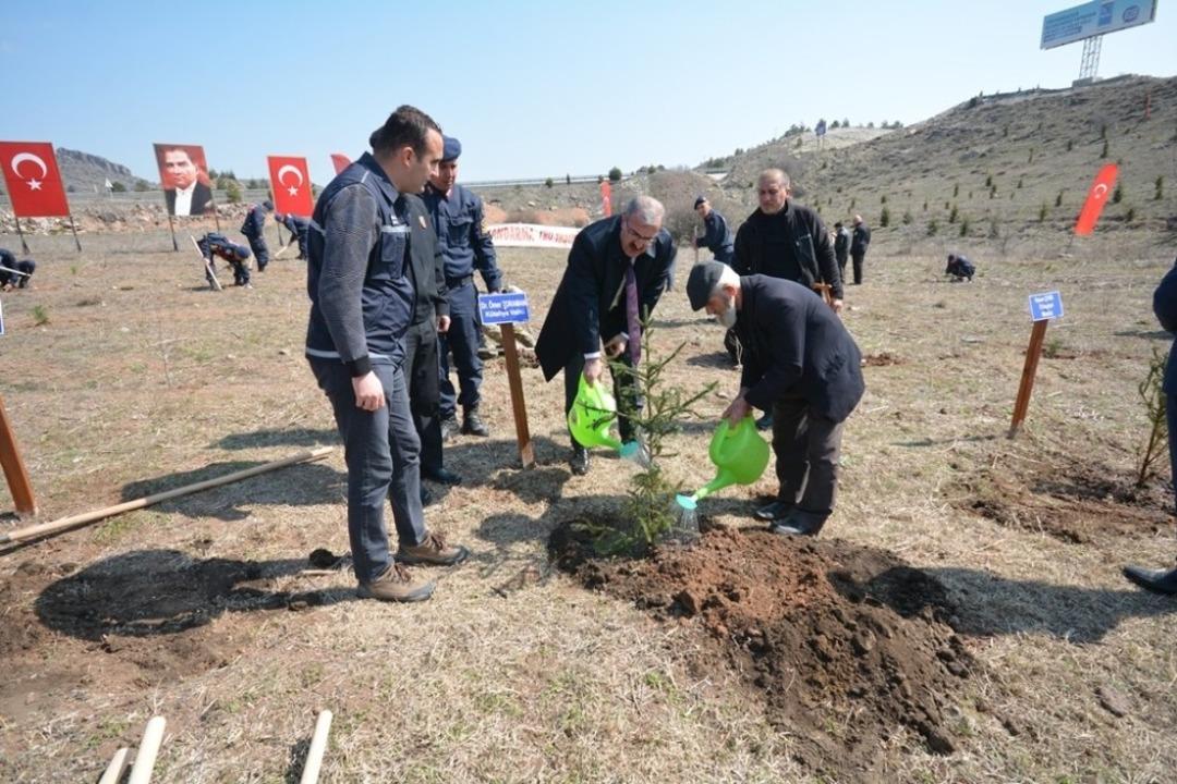 K&uuml;tahya İl Jandarma 300 fidanı toprakla buluşturdu