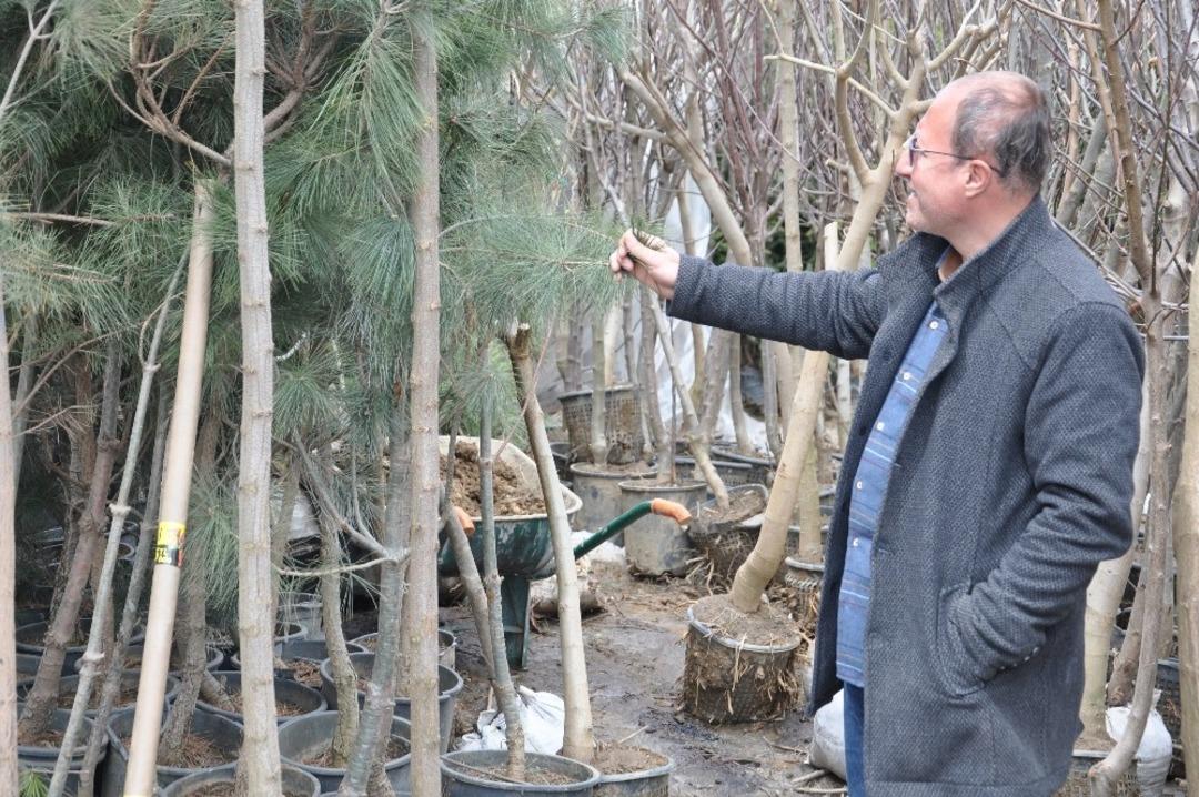 Y&uuml;ksekova&rsquo;da fidan satışları başladı
