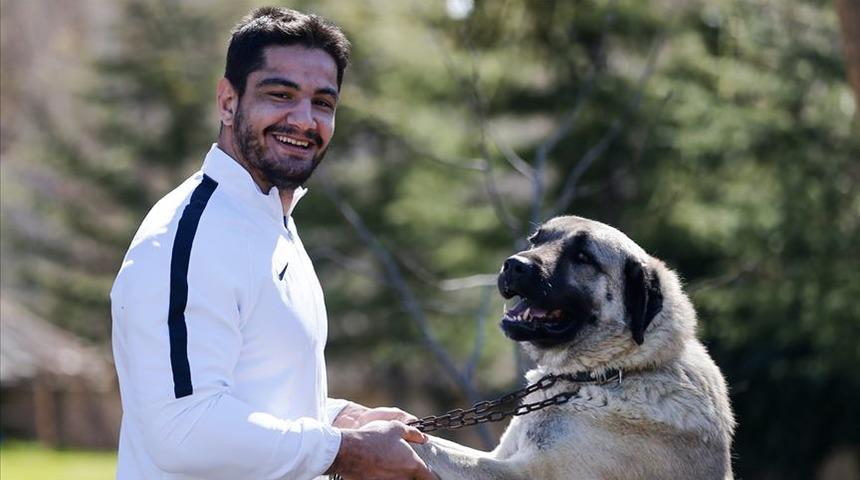 Milli güreşçi Taha Akgül, 7. şampiyonluğun peşinde