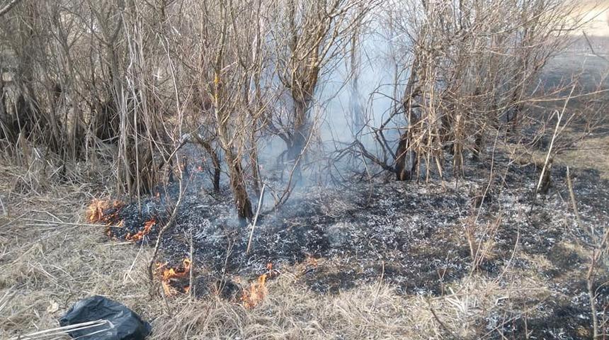 Daday&rsquo;da sazlıkta &ccedil;ıkan yangın s&ouml;nd&uuml;r&uuml;ld&uuml;