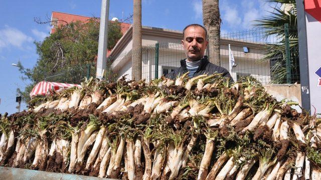 Baharla birlikte kenger görücüye çıktı