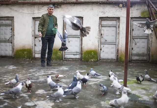 Diyarbakır, güvercin yetiştiriciliğinde dünya birincisi