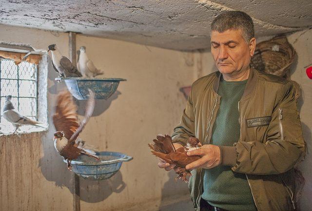 Diyarbakır, güvercin yetiştiriciliğinde dünya birincisi