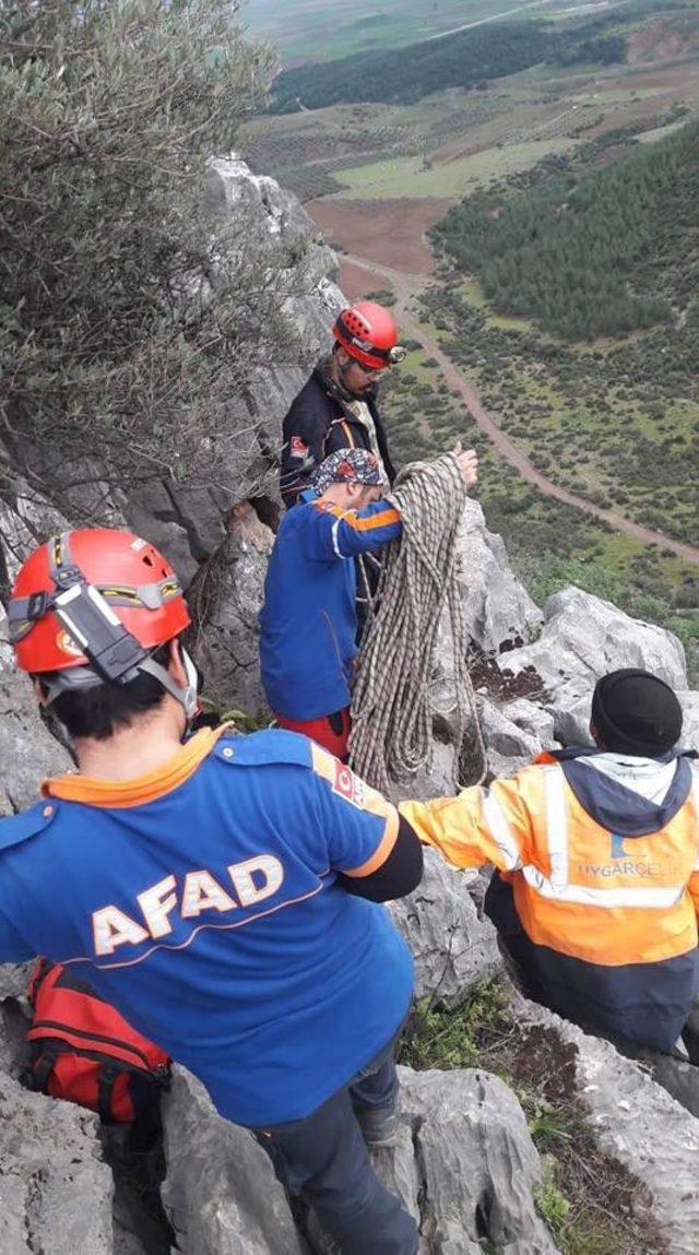 Kayalıklarda mahsur kalan keçileri AFAD ekibi kurtardı