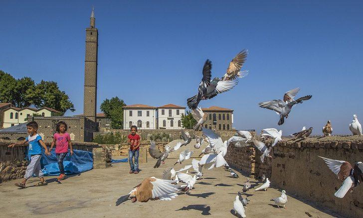 Fiyatı 24 bin liraya kadar çıkıyor... Diyarbakır dünya birincisi  G2